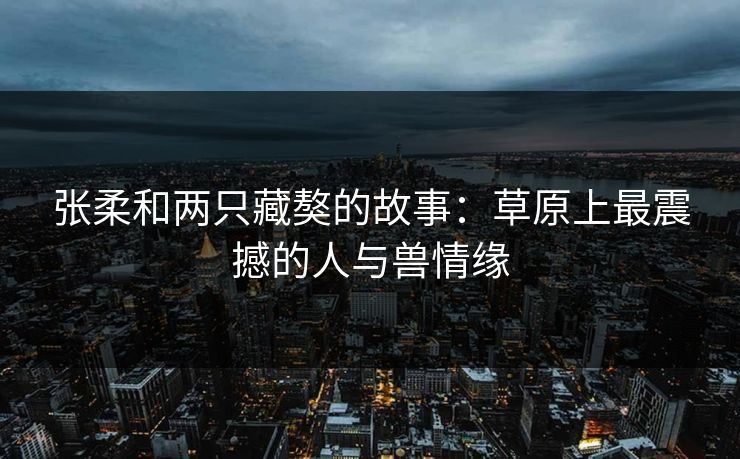 张柔和两只藏獒的故事:草原上最震撼的人与兽情缘 张柔和两只藏獒的故事:草原上最震撼的人与兽情缘