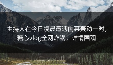 主持人在今日凌晨遭遇内幕轰动一时，糖心vlog全网炸锅，详情围观