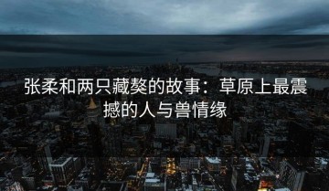 张柔和两只藏獒的故事：草原上最震撼的人与兽情缘