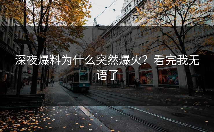 深夜爆料为什么突然爆火？看完我无语了
