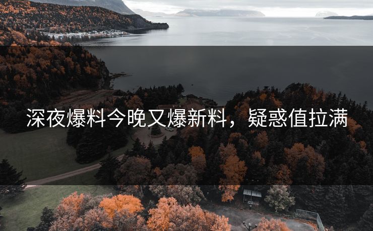 深夜爆料今晚又爆新料，疑惑值拉满
