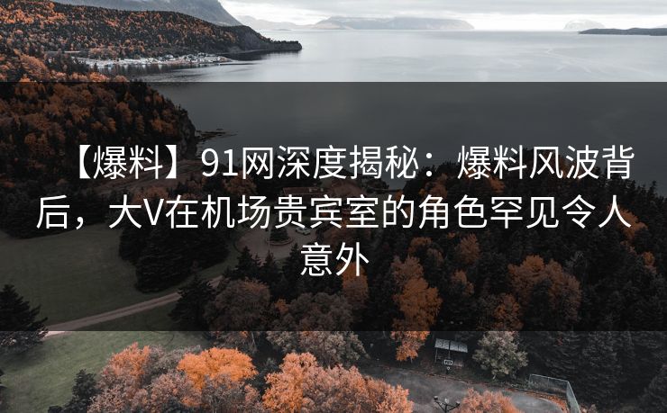 【爆料】91网深度揭秘：爆料风波背后，大V在机场贵宾室的角色罕见令人意外
