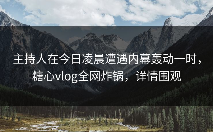 主持人在今日凌晨遭遇内幕轰动一时，糖心vlog全网炸锅，详情围观