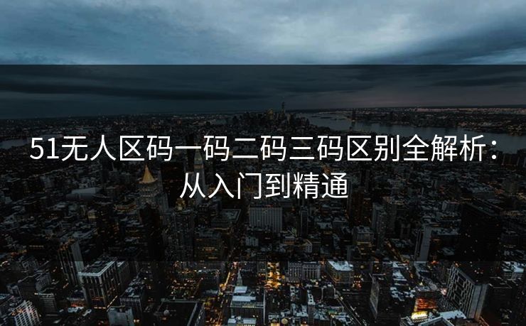51无人区码一码二码三码区别全解析：从入门到精通